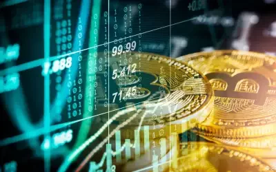 246d4f5f5e4e4112b786c647de01c5dc-reaudwq7j0xirw4slswheq63lkeq1l05267dpsek78 - Copy